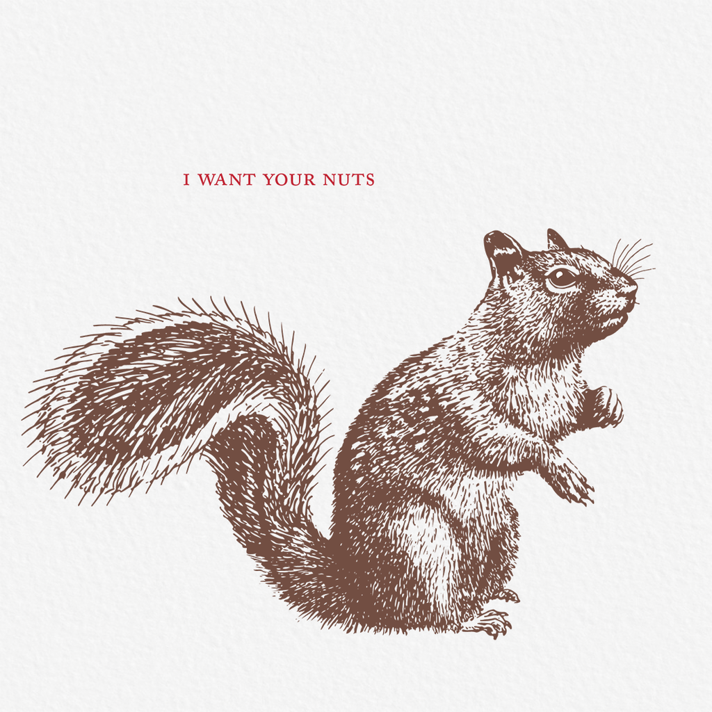 I Want Your Nuts Squirrel Spicy Greeting Card - Sugar Wood NYC